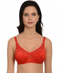 mod-shy-non-padded-non-wired-mesh-net-minimizer-bra-ms102